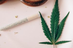The Fastest Growing Job Sector is in Cannabis