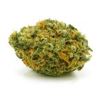 Cannabis