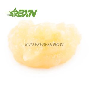 BXN-RESIN-BRUCEBANNER-