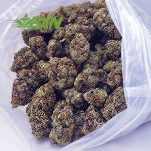 Buy Master Yoda AA at BudExpressNOW Online