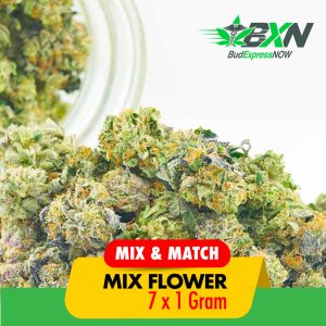 Buy Mix & Match AAA-AAAA Strain - 1g x 7 at BudExpressNOW Online Shop
