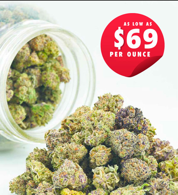 Cannabis seeds available - explore our selection of premium seeds for sale.