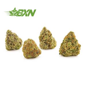 Buy Mystery Pack at BudExpressNOW Online