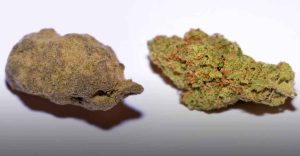 Whether you are a cannabis newcomer or a seasoned stoner, it's important to know the difference between hashish vs weed. This guide will help you know the difference between both.