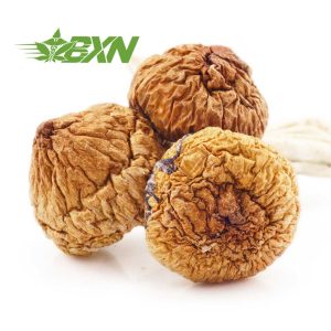 Buy Mushroom - Arenal Volcano at BudExpressNOW Online Shop