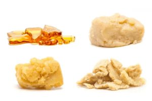 The world of cannabis is growing exponentially with the rise of exceptional products such as high THC concentrates.