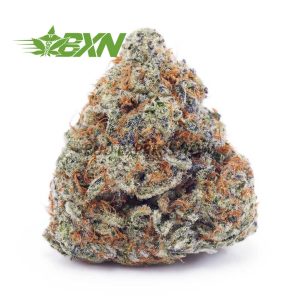Buy Cookie Dough AAA at BudExpressNOW Online Shop