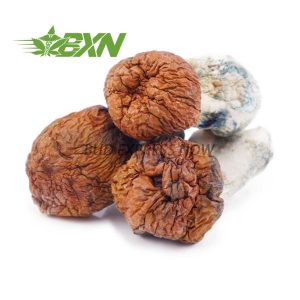 Buy Mushroom - Blue Pulaski at BudExpressNOW Online Shop