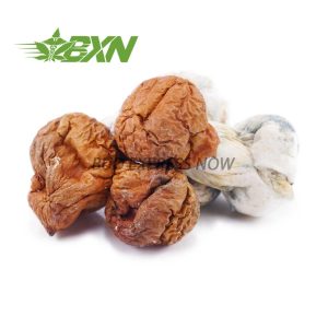 Buy Mushroom - Code Blue at BudExpressNOW Online Shop