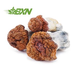 Buy Mushroom - Tidal Wave at BudExpressNOW Online Shop