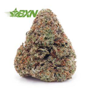 Buy Nirvana AAA at BudExpressNOW Online Shop