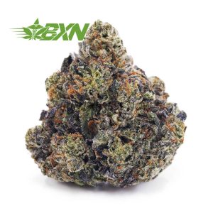 Buy Tom Ford Pink Kush (Craft) at BudExpressNOW Online Shop.