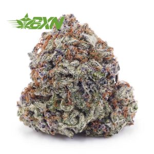 Buy Cookie Monster AAA at BudExpressNOW Online Shop