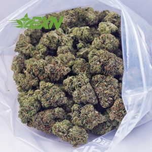 Buy Hindu Kush AAA at BudExpressNOW Online Shop