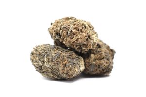 Good sativa strains are loved by stoners & growers alike. They have a spicy, peppery aroma & taste & will make you feel energized & motivated.