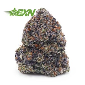 Buy OG Octane (Craft) at BudExpressNOW Online Shop