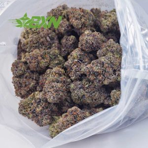 Buy OG Octane (Craft) at BudExpressNOW Online Shop