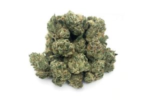 Top shelf BC bud is not your everyday stash. This is next level weed. Read this guide before you buy top shelf weed online in Canada. 