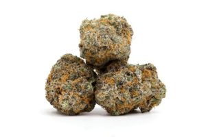 Discover the appealing effects of Lindsay OG strain in this review discussing its origins, OG Kush connection, THC, aroma & terpene profiles