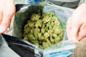 How much is an ounce of weed and what are the benefits of buying cannabis in bulk? What about the price? How much is an ounce of pot?
