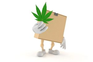 Want to order pot online? BXN can help! Scroll through our online wide menu of high-quality cannabis products & buy what stands out to you. 
