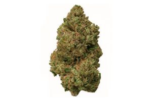 What happens when you mix mystery, flavour, and potency? That's the Zombie strain for you! Read our review to understand this strain better.