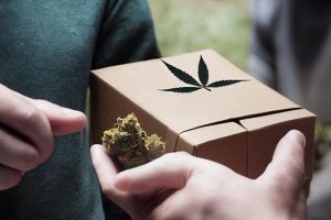 Buy pot online in Canada with ease! Learn how to find reputable dispensaries, explore products, & enjoy safe & discreet cannabis shopping.