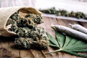 Discover the best dispensaries that sell pounds in Canada, offering bulk weed, products & affordable prices. Shop online now for great deals!