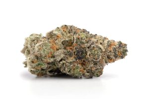 Buy Monster Glue strain online at BXN. Enjoy its balanced effects, rich chocolate-coffee flavor, & high THC. Discreet delivery across Canada.