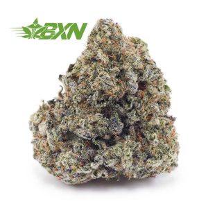 Buy Silver Haze AAA at BudExpressNOW Online