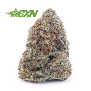 Buy OG Cheese AA at BudExpressNOW Online Shop