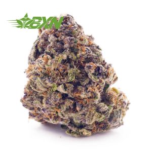 Buy Rainbow Kush AA at BudExpressNOW Online Shop