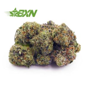 Buy Blue Venom AAAA (Popcorn) at BudExpressNOW Online Shop.