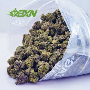Buy Blue Venom AAAA (Popcorn) at BudExpressNOW Online Shop.