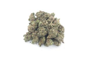 Discover where to buy bud online in Canada without breaking the bank & learn how to choose BC bud online dispensaries with quality weed.