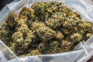 You can now get massive savings when you buy online pot in Canada. Discover various deals, discounts & tips for saving money when ordering.