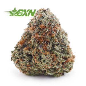 Buy Chocolope AAA at BudExpressNOW Online Shop