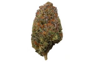 Discover the relaxing effects of Bubba Kush strain! Explore its flavours, calming properties, & why it's a favourite among enthusiasts.