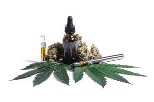 Worried about the dispensary closing hours? Step back & explore how a cannabis store online can transform your cannabis shopping experience. 